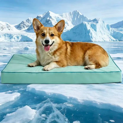 [Father'S Day Gift Ideas] Blunique Pets Cooling Dog Sofa & Mat Q-MAX 0.4 Gel-Free Electricity-Free Non-Slip Waterproof Egg-Crate Foam Support Bed Outdoor Use for Dogs Cats Tiktokshopspringglowup Summervibes
