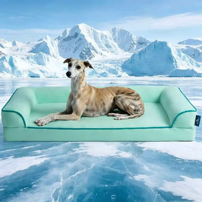 [Father'S Day Gift Ideas] Blunique Pets Cooling Dog Sofa & Mat Q-MAX 0.4 Gel-Free Electricity-Free Non-Slip Waterproof Egg-Crate Foam Support Bed Outdoor Use for Dogs Cats Tiktokshopspringglowup Summervibes