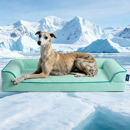 [Father'S Day Gift Ideas] Blunique Pets Cooling Dog Sofa & Mat Q-MAX 0.4 Gel-Free Electricity-Free Non-Slip Waterproof Egg-Crate Foam Support Bed Outdoor Use for Dogs Cats Tiktokshopspringglowup Summervibes