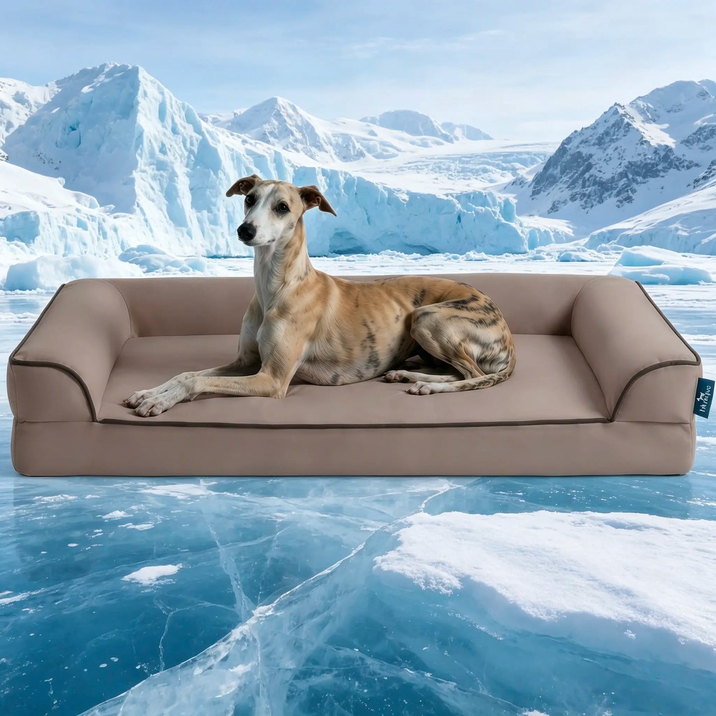 [Father'S Day Gift Ideas] Blunique Pets Cooling Dog Sofa & Mat Q-MAX 0.4 Gel-Free Electricity-Free Non-Slip Waterproof Egg-Crate Foam Support Bed Outdoor Use for Dogs Cats Tiktokshopspringglowup Summervibes