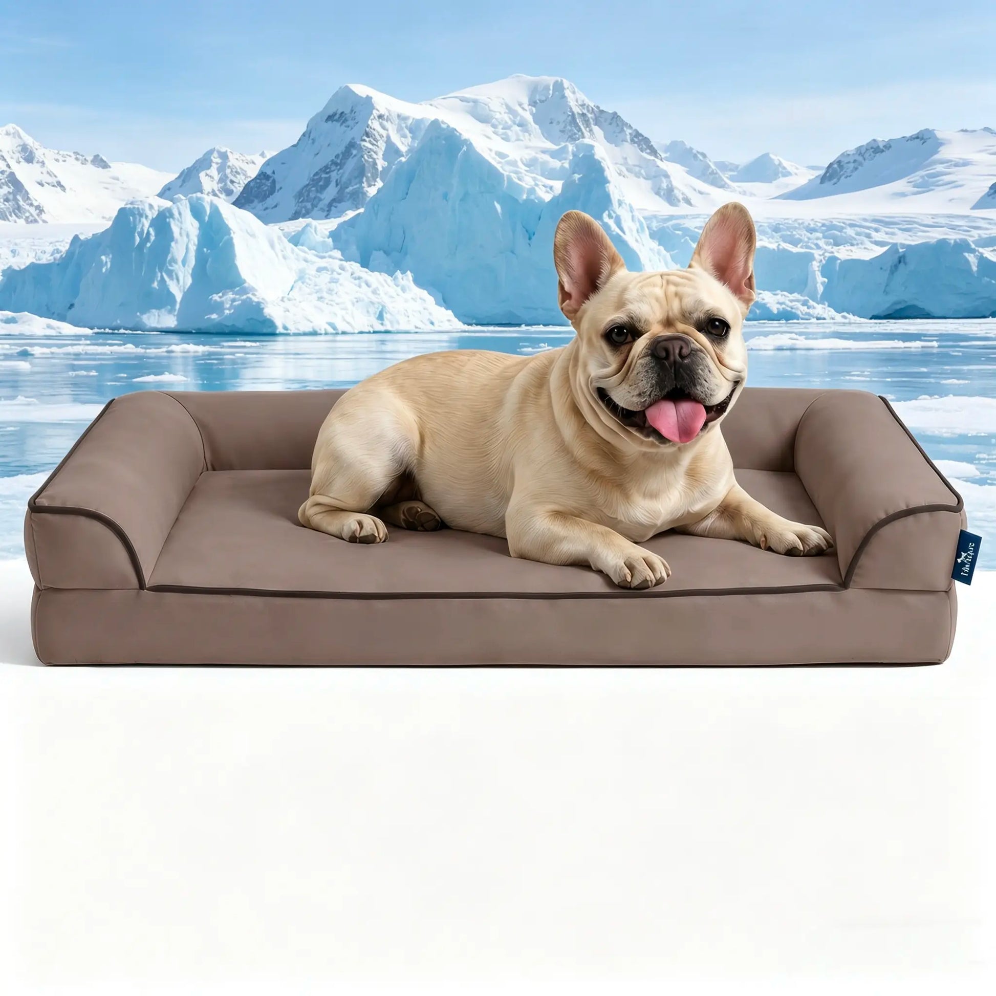 [Father'S Day Gift Ideas] Blunique Pets Cooling Dog Sofa & Mat Q-MAX 0.4 Gel-Free Electricity-Free Non-Slip Waterproof Egg-Crate Foam Support Bed Outdoor Use for Dogs Cats Tiktokshopspringglowup Summervibes